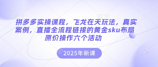 拼多多实操课程,飞龙在天玩法,真实案例,直播全流程链接的黄金sku布局原价操作六个活动-众创网