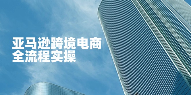 (14252期)亚马逊跨境电商全流程实操,教你从零开始,掌握店铺运营与广告技巧-众创网