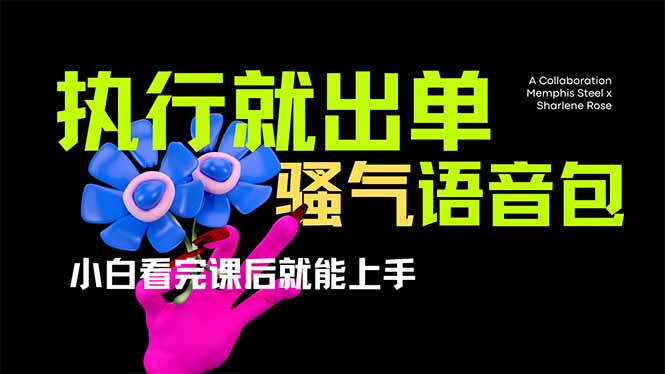 (14170期)爆火全网的开车导航骚气语音包,只要执行就出单,小白看完课程就能实操...-众创网