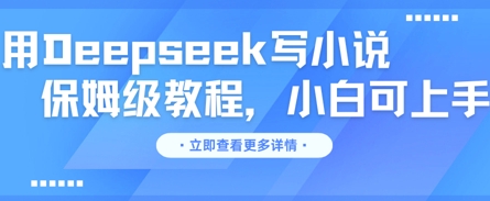 用Deepseek写小说，保姆级教程，小白可实操-众创网